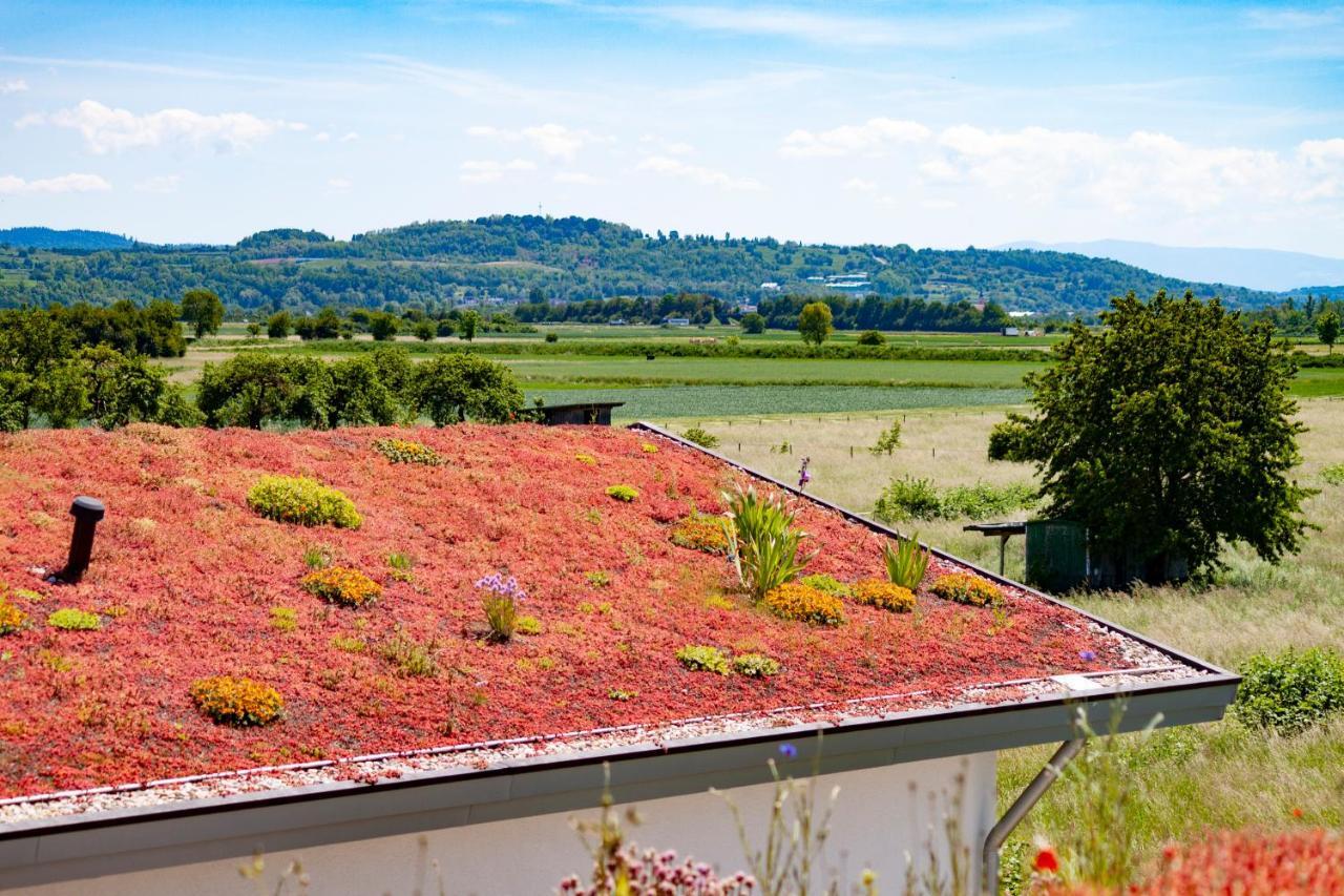 Apartmán Lavate Kappel-Grafenhausen Exteriér fotografie